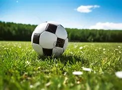 仅半年突变,舍弃千万年,数据锐减,bet365,bet365体育,bet365官网,bet365网址