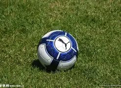 豪门对决巅,峰时刻,维尔茨神助,bet365,bet365体育,bet365官网,bet365网址