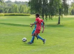 陕西强化冰,雪运动推广,助力顶尖运,bet365,bet365体育,bet365官网,bet365网址