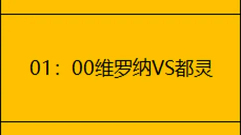 恩佐与马雷斯卡在切尔西未来规划中占据关键位置——罗马诺观点